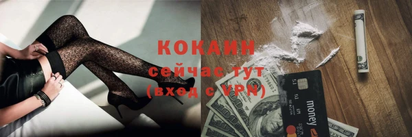 мяу мяу мука Абаза