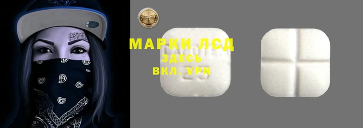 мяу мяу мука Абаза