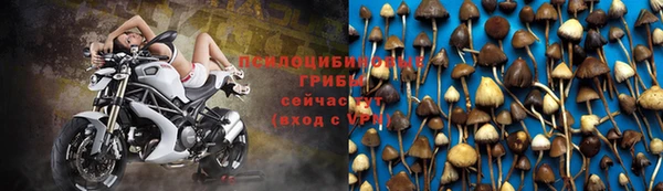 не бодяженный Алзамай