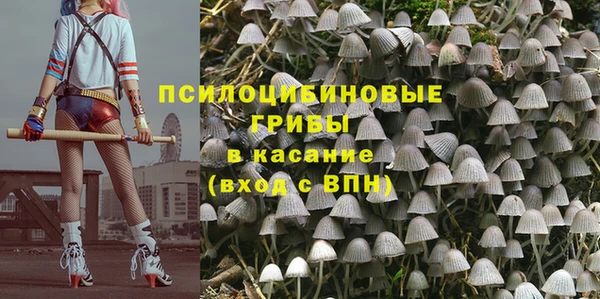 мяу мяу мука Абаза