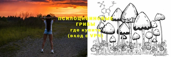 гашик Абдулино