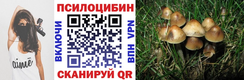 Галлюциногенные грибы Psilocybine cubensis  Елизаветинская 